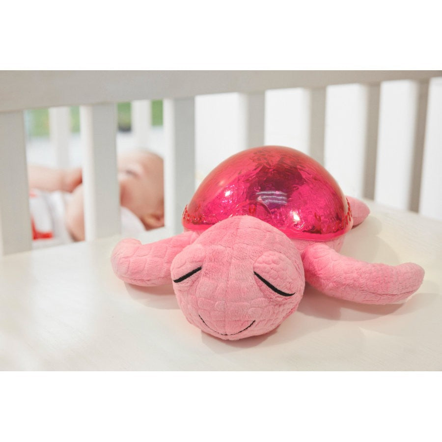 Luce notturna tranquil turtle
