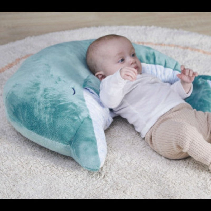 Peluche rilassante del delfino