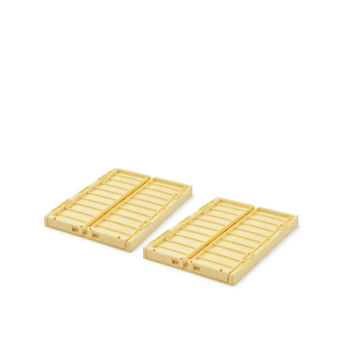 Scatola portaoggetti Weston S - 25x18x9,5 cm- 2pezzi