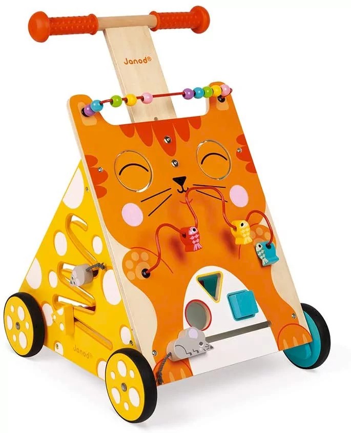 Carrello primi passi e centro attività gatto