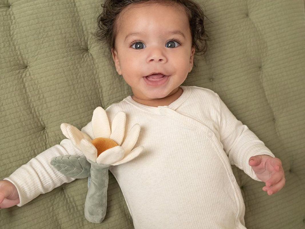 Sonaglio a fiore - Little Farm