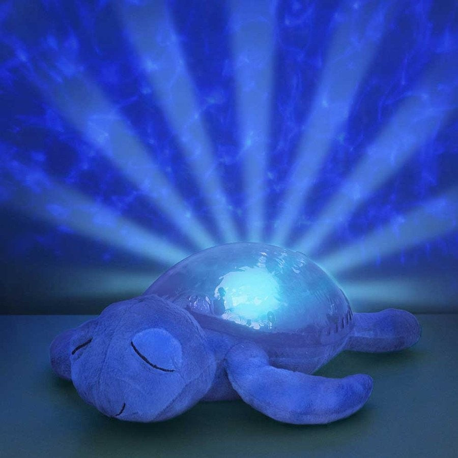 Luce notturna tranquil turtle