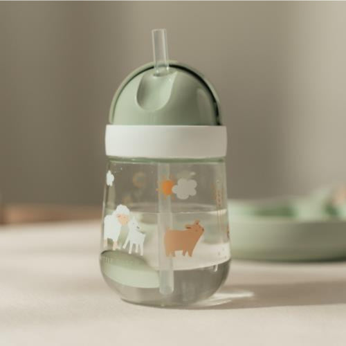Borraccia con cannuccia 300ml - Dai 9 mesi