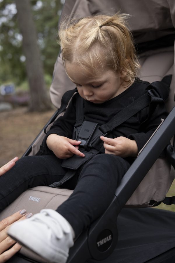 Passeggino sportivo Thule Urban Glide 3