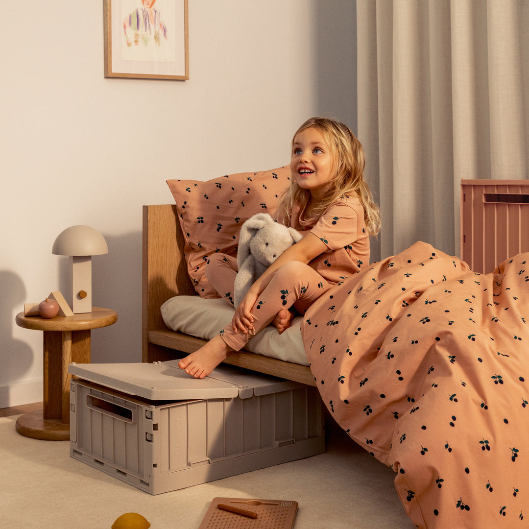 Contenitore Sotto-Letto con Ruote e Coperchio a Doppia Apertura (20 Litri)