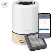 Filtro per purificatore d'aria clean 3in1