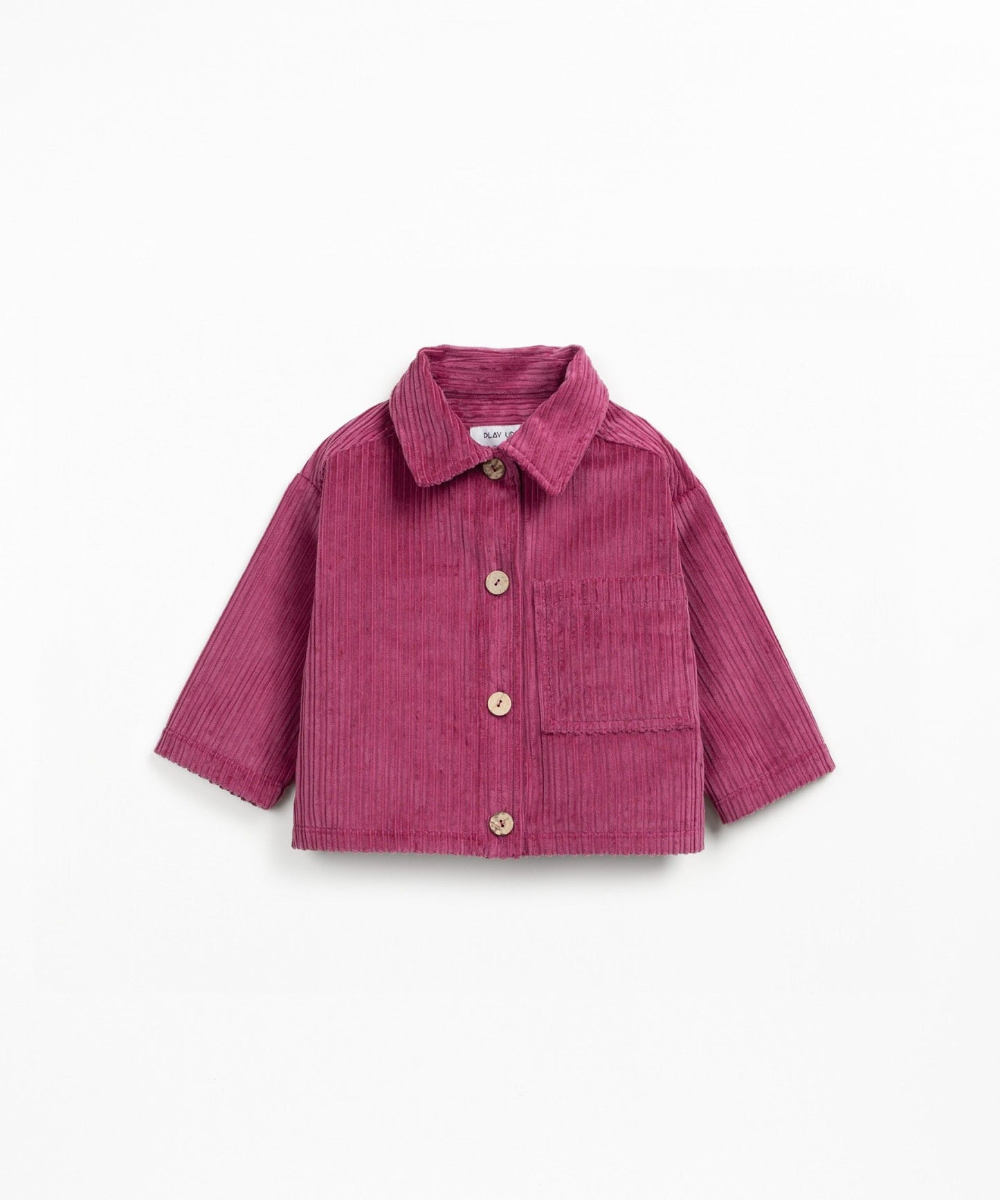 Camicia