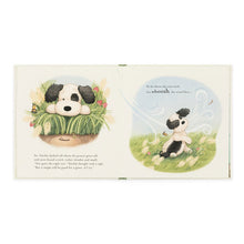 Libro in inglese - The Pick of the Sticks Books