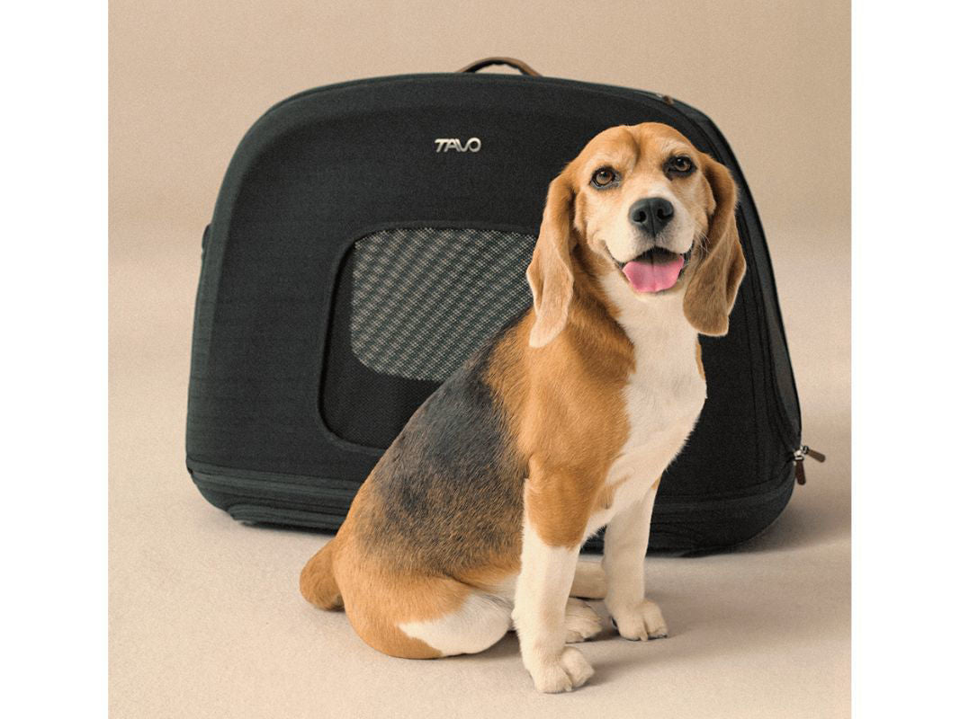 Tavo Pets - Trasportino  Crispin - con aggancio Isofix