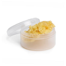 Spunga naturale mediterranea con scatola