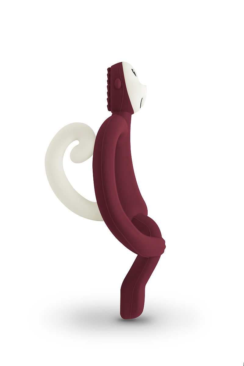 Massaggiagengive scimietta in silicone