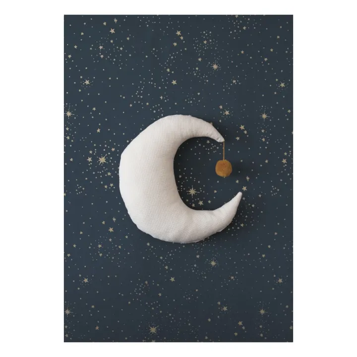 Cuscino Luna in velluto