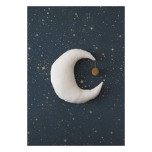 Cuscino Luna in velluto