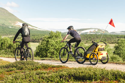 Rimorchio multisportivo Thule CHARIOT SPORT  - Doppio