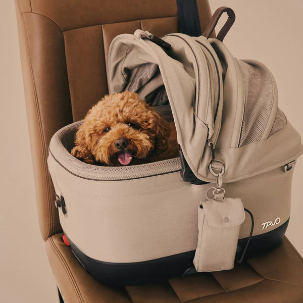 Tavo Pets - Maeve Wind con ventilazione integrata - Trasportino Premium per Animali con isofix