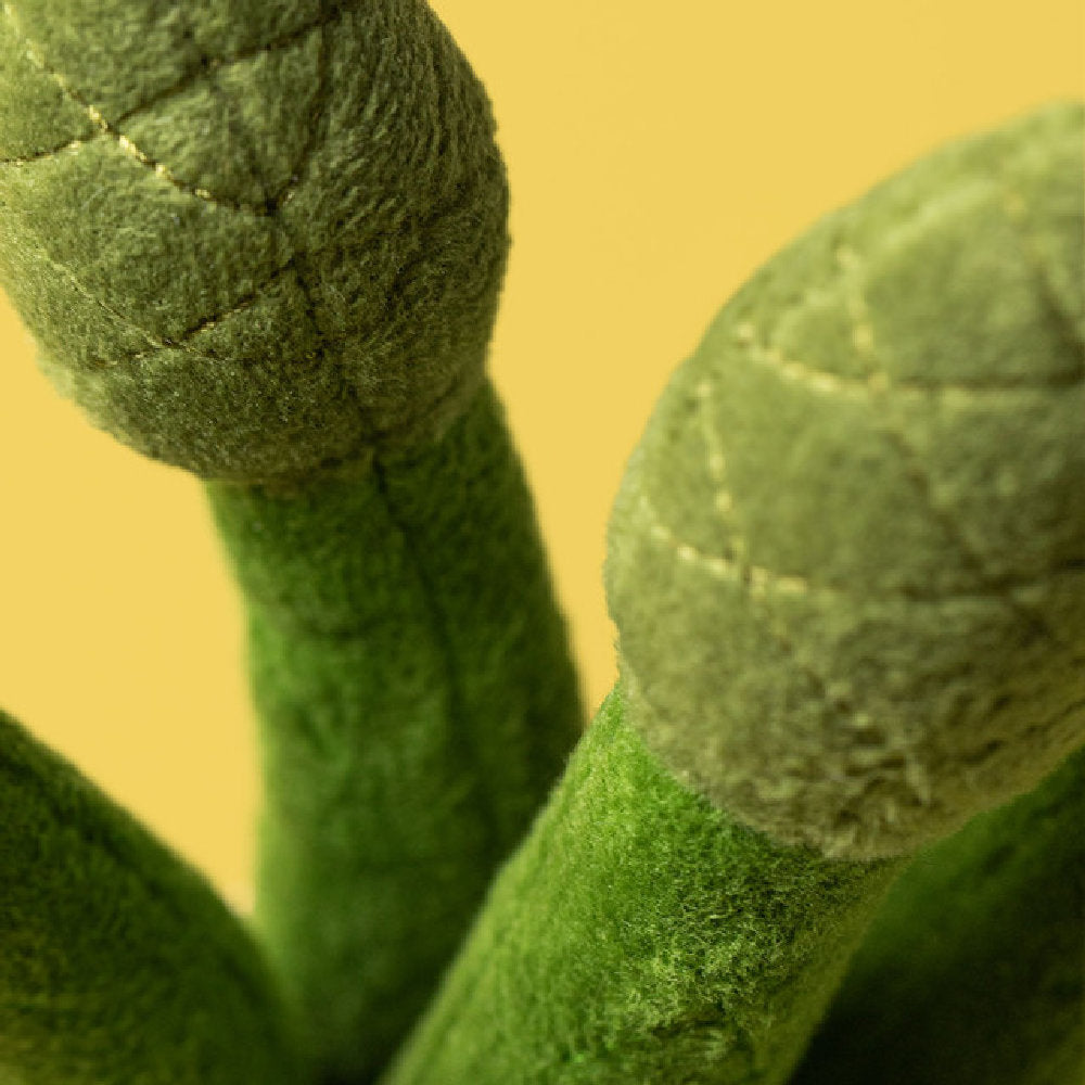 Peluche morbido Amuseabbles Asparagus