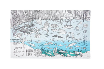 Tovaglia con 10 pennarelli - Pulisci e ricomincia