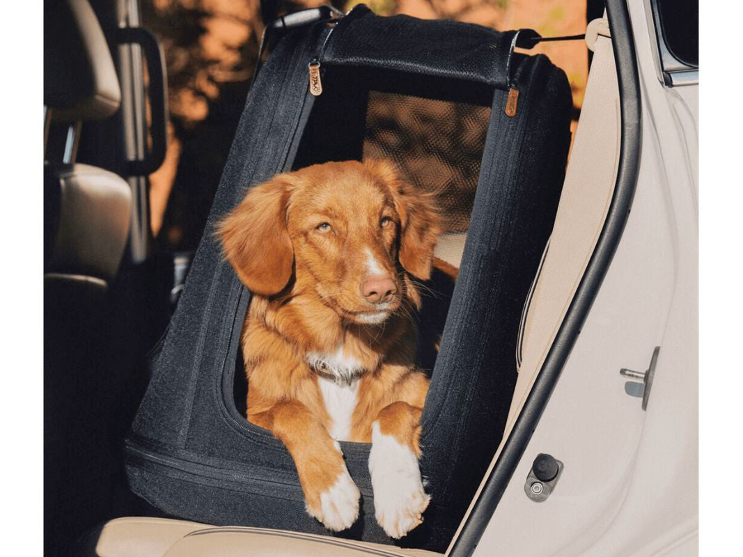 Tavo Pets - Trasportino  Crispin - con aggancio Isofix