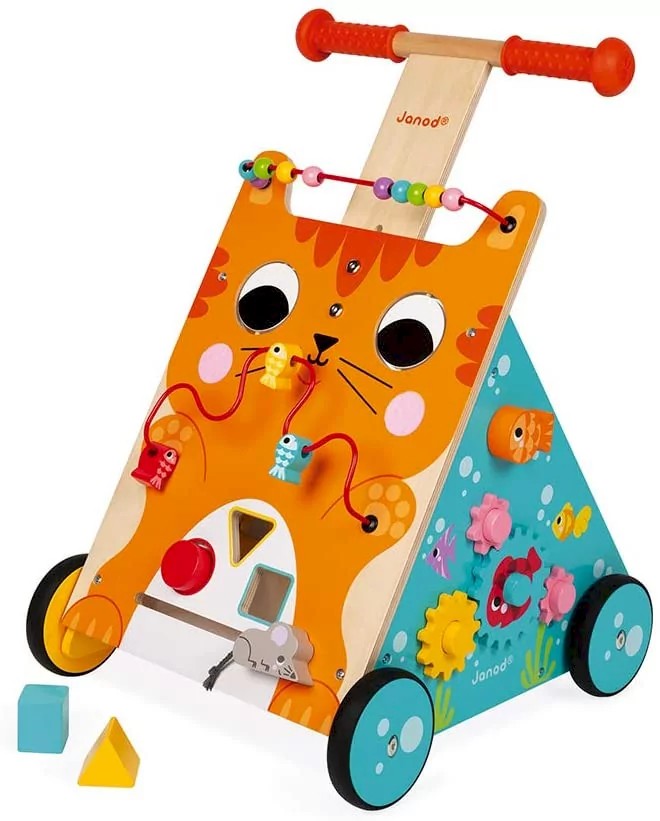 Carrello primi passi e centro attività gatto