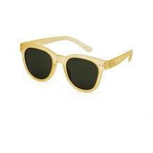 Occhiali da sole adulti sun #n