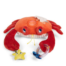 Granchio attività - Le avventure di Paulie