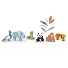 Set animali del mondo in Legno con custodia