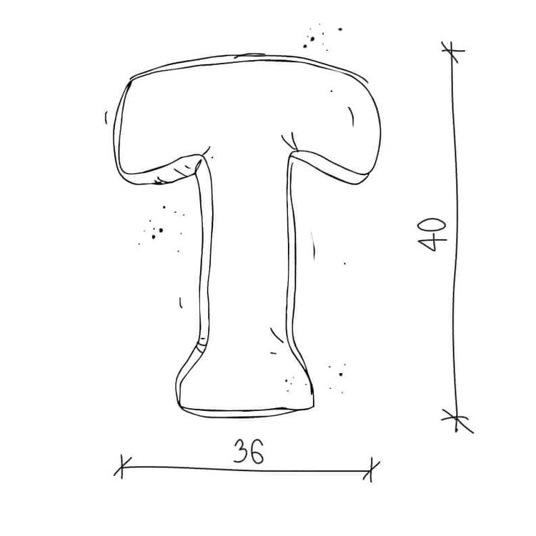 Lettera in velluto T