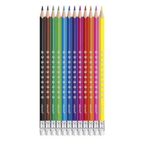 Matite cancellabili x12pezzi