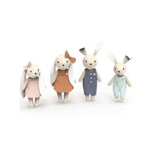 Famiglia di 4 coniglietti