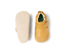 XPLORER MARVEL OAK BUFF