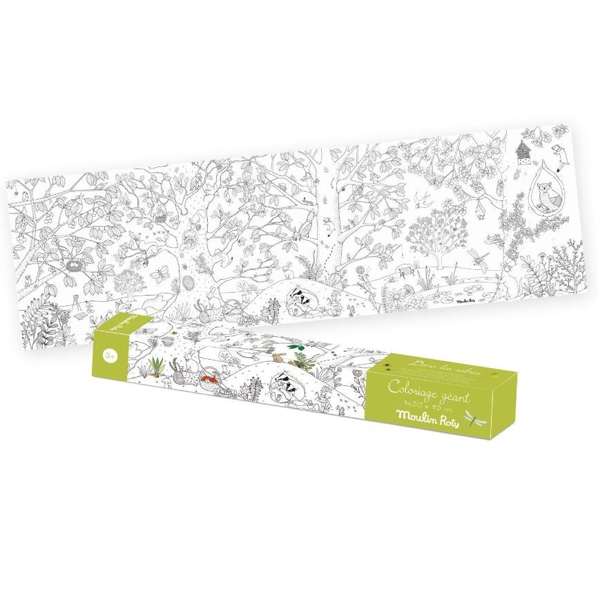 Poster gigante da colorare - botanica