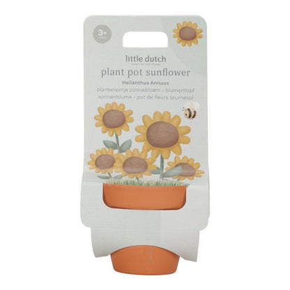 Kit Coltivazione Girasole per Bambini in Vaso di Terracotta - Dai 3 anni