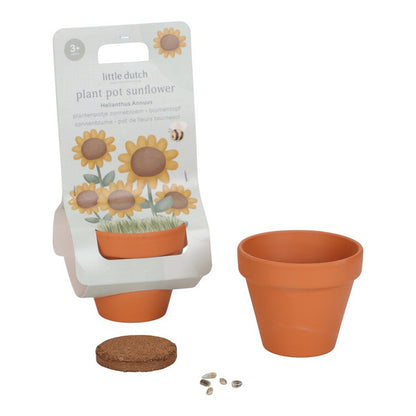 Kit Coltivazione Girasole per Bambini in Vaso di Terracotta - Dai 3 anni
