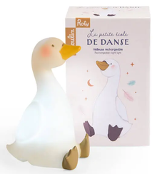 Luce notturna cigno