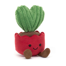 Peluche morbido cactus kerii