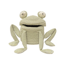 Contenitore porta oggetti Fred la Rana - 15x15x15cm