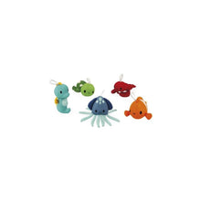 Le mie spugne marine