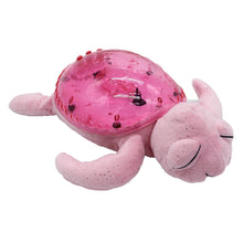 Luce notturna tranquil turtle