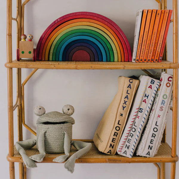 Contenitore porta oggetti Fred la Rana - 15x15x15cm