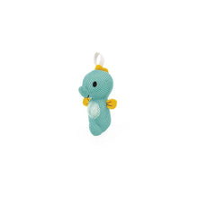 Le mie spugne marine