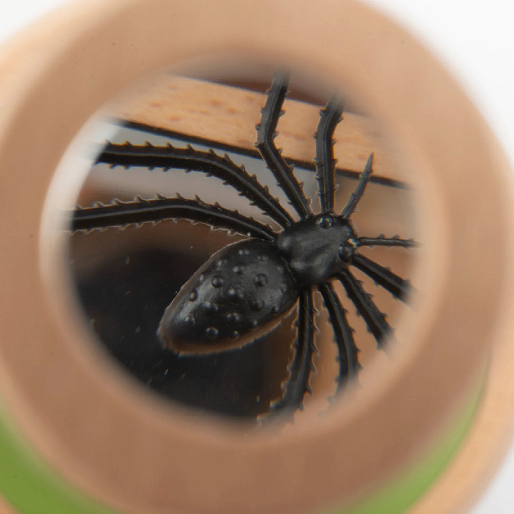 Grande Scatola di Osservazione Insetti e Natura