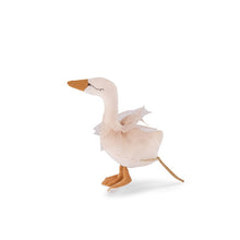 Cigno sonaglio