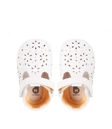 Scarpine Soft Sole Lacey