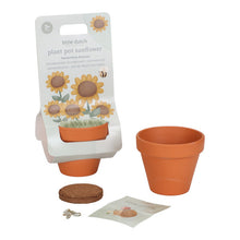 Kit Coltivazione Girasole per Bambini in Vaso di Terracotta - Dai 3 anni