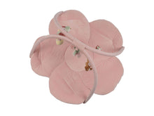 Palestrina morbida con tappeto