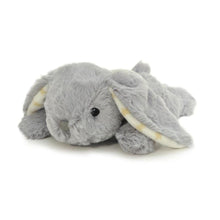 Peluche Luce Notturna Proiettore di Stelle Dream Buddies