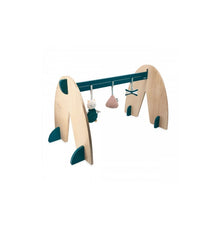 Arco sensoriale evolutivo