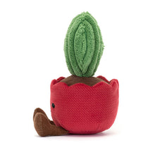 Peluche morbido cactus kerii