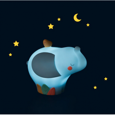 Luce notturna elefante