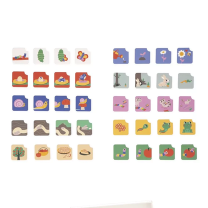 Gioco educativo per bambini - carte sequenza - giardino